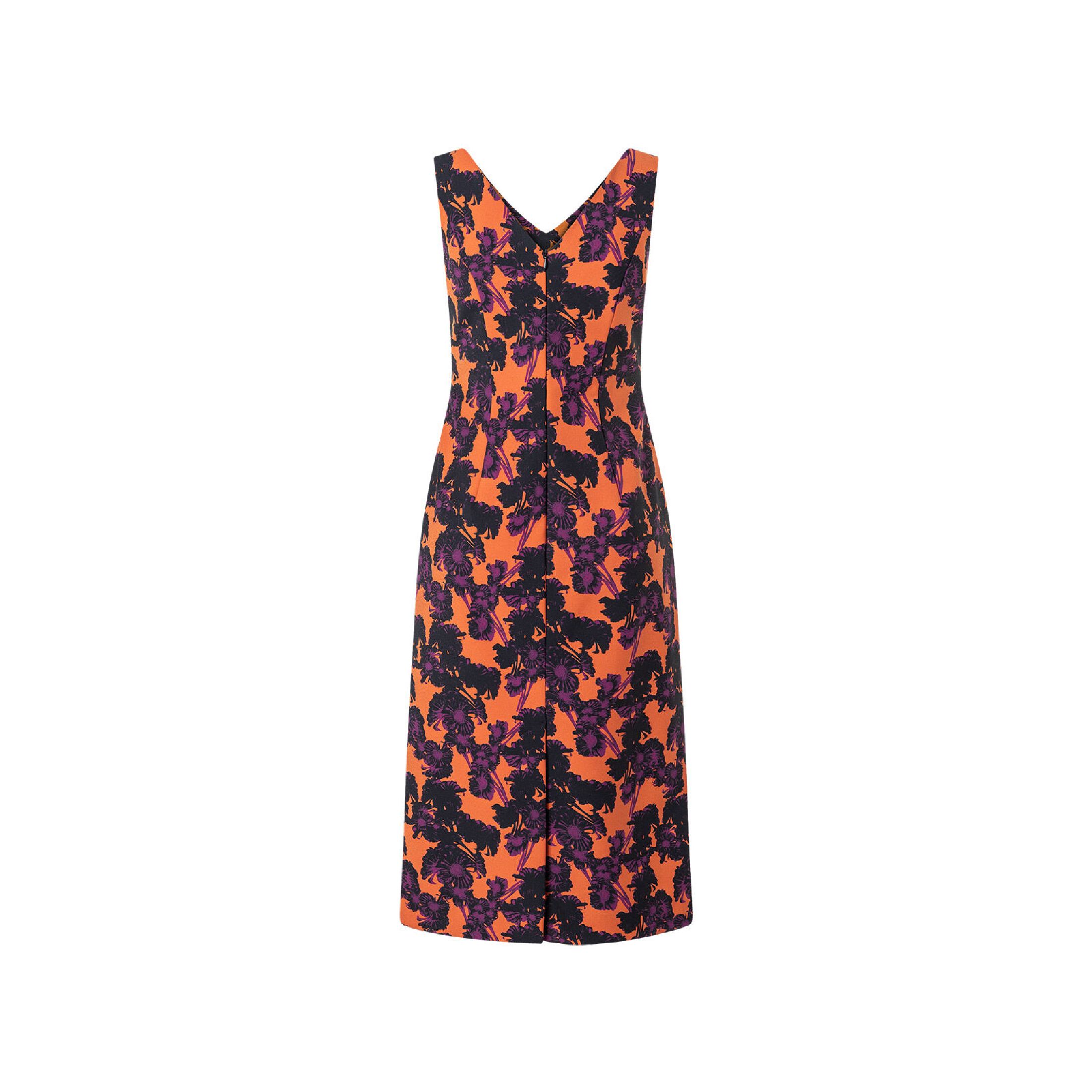 bs2509_113b_back