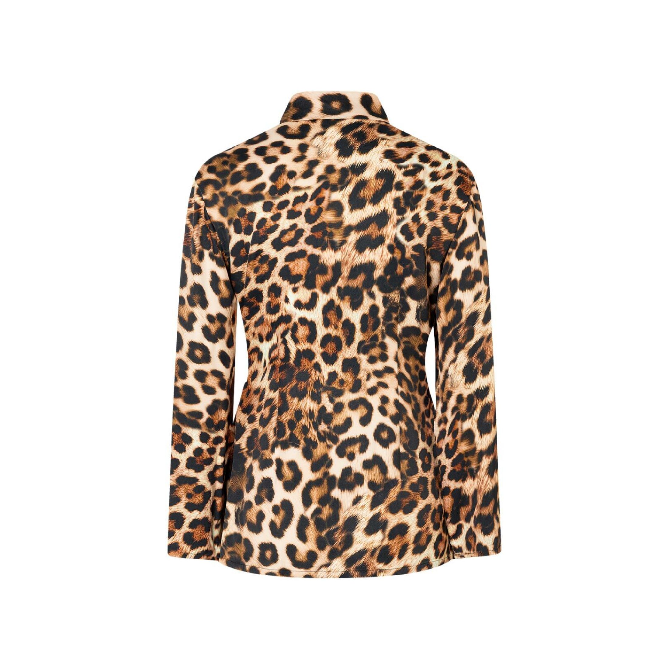 bs2511_113b_back